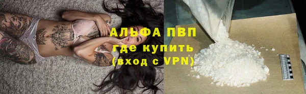 прущие грибы Богородицк