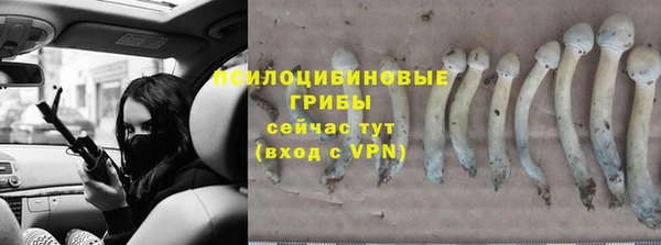 герыч Покровск
