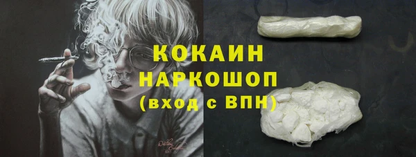 стаф Бородино