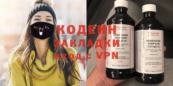 стаф Бородино