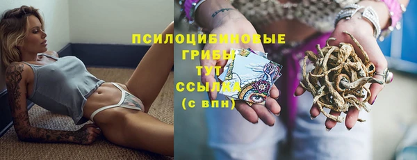 ешки Покачи