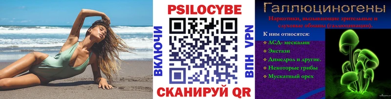 Псилоцибиновые грибы прущие грибы  Новосокольники 